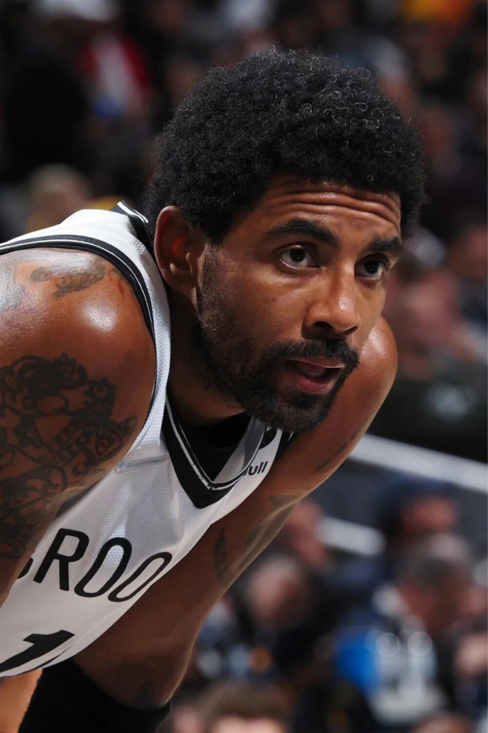 常绑定球员 常绑定球员